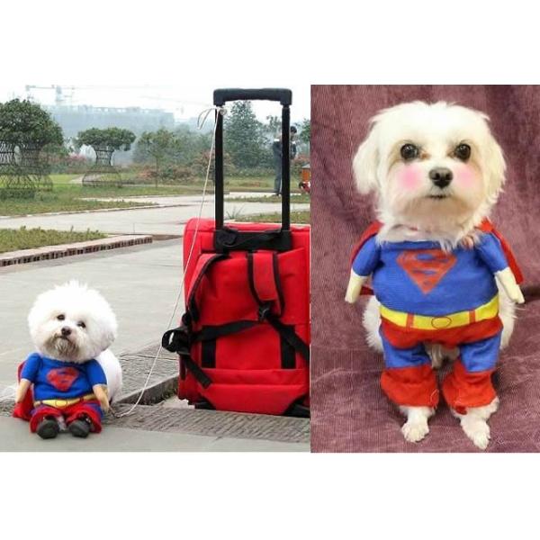 犬服 猫服 コスプレ コスチューム 2足歩行 スーパーワン バットワン スパイダーワン 仮装 変身 小型犬用 バラエティー グッズ ハロウィン ペット 洋服 スーパー Buyee Buyee Japanese Proxy Service Buy From Japan Bot Online