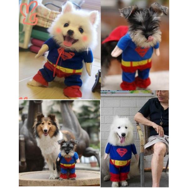 犬服 猫服 コスプレ コスチューム 2足歩行 スーパーワン バットワン スパイダーワン 仮装 変身 小型犬用 バラエティー グッズ ハロウィン ペット 洋服 スーパー Buyee Buyee 提供一站式最全面最專業現地yahoo Japan拍賣代bid代拍代購服務 Bot Online