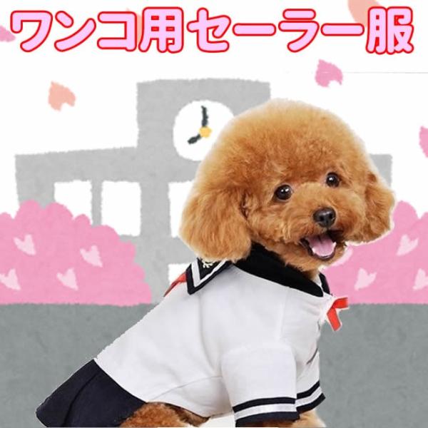 犬服 コスプレ なりきり セーラー服 コスプレ コスチューム スカート ワンピース 春 夏 ハロウィン グッズ 制服 衣装 仮装 Buyee Buyee บร การต วกลางจากญ ป น ซ อจากประเทศญ ป น