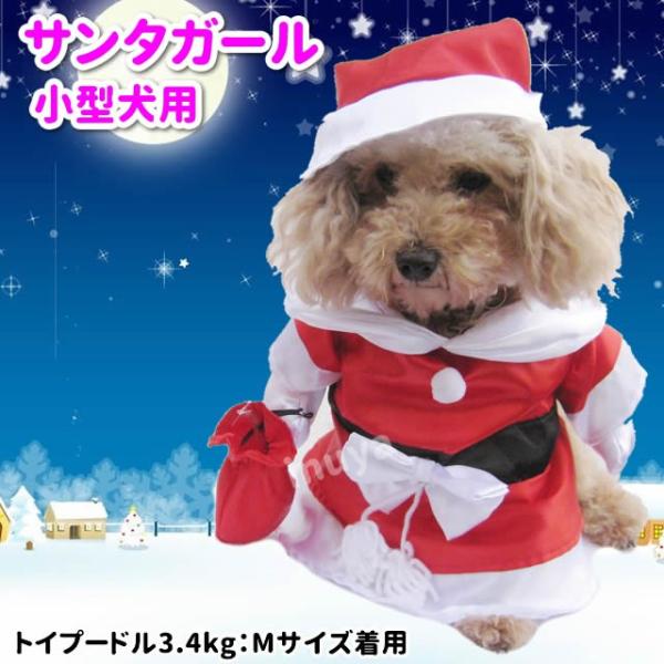 犬服 コスプレ サンタガール コスチューム 2足立ち バレンタイン ホワイトデー 小型犬 ハロウィン グッズｖ Buyee Buyee Japanese Proxy Service Buy From Japan Bot Online