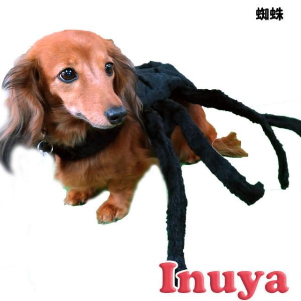   RX`[ w i XpC_[ j ^ oGeB[i nEBZ[ ybg m 