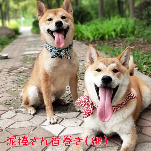 D_񊪂 ׂ^Cv ch ͗l bh  L Č ^ ^ a ANZT[ 炭 o_i    