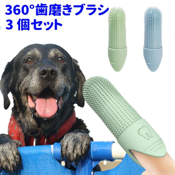 inuya_pb-006