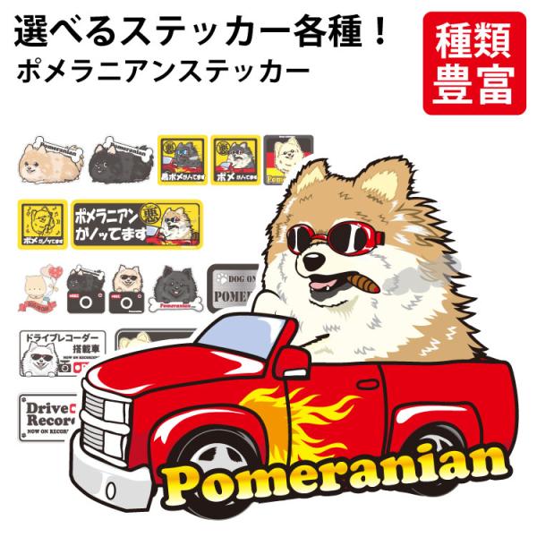 ステッカー 犬 車 注意 グッズ 乗ってます シールポメラニアン Pomeranian