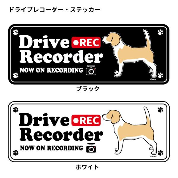 XebJ[ ip)  hR VGbg Zbg 12 jr[O ij ^  hCuR[_[ V[  ʂ