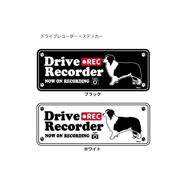 XebJ[ ip)  hR VGbg Zbg 12 j{[_[R[ij ^  hCuR[_[ V[  ʂ