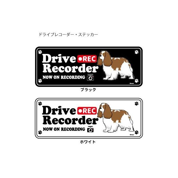 XebJ[ ip)  hR VGbg Zbg 12 jLoA ij ^  hCuR[_[ V[  ʂ