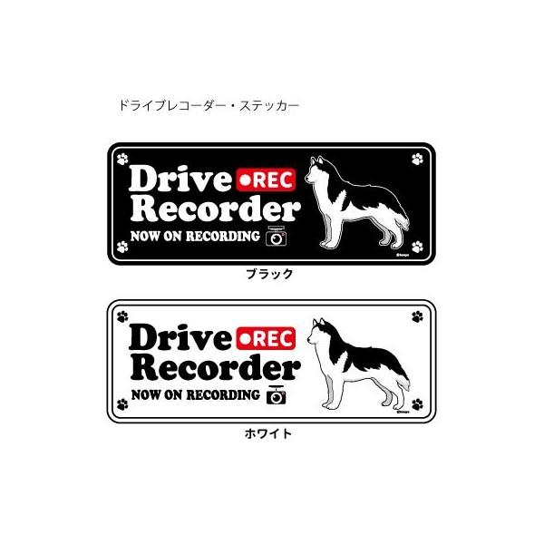 XebJ[ ip)  hR VGbg Zbg 12 jVxAnXL[ ij^  hCuR[_[ V[  ʂ