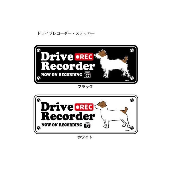 XebJ[ ip)  hR VGbg Zbg 12 jWbNbZeA  ^  hCuR[_[ V[  ʂ