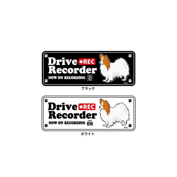 XebJ[ ip)  hR VGbg Zbg 12 jpsiԁj ^  hCuR[_[ V[  ʂ