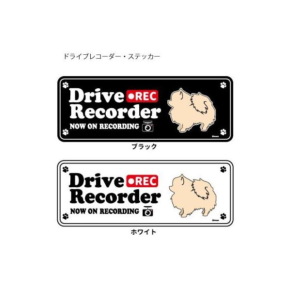 XebJ[ ip)  hR VGbg Zbg 12 j |jA ^  hCuR[_[ V[  ʂ