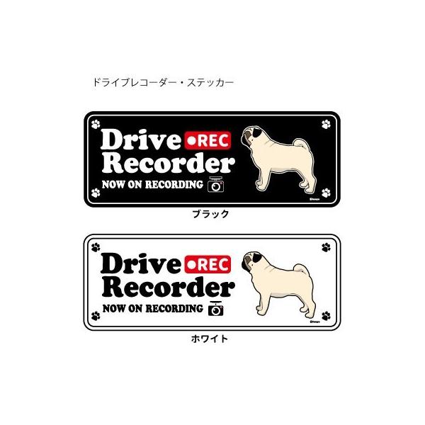 XebJ[ ip)  hR VGbg Zbg 12 jpO itH[j ^  hCuR[_[ V[  ʂ