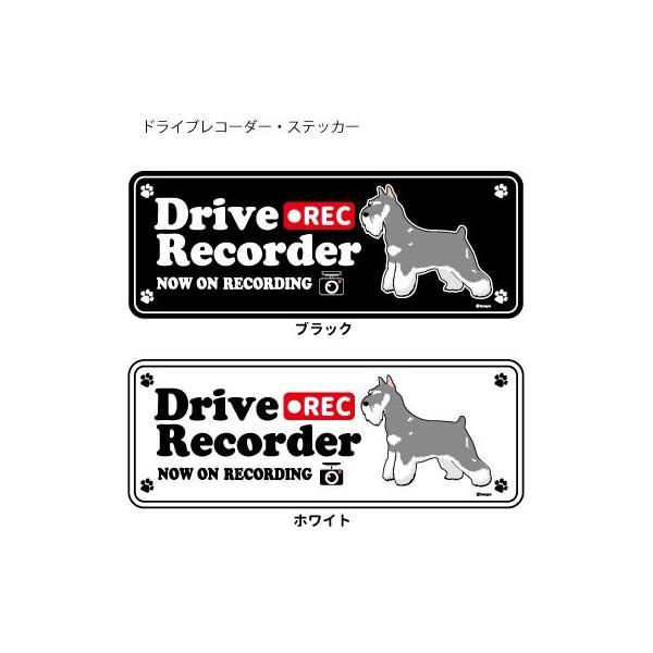 XebJ[ ip)  hR VGbg Zbg 12 jViEU[ ^  hCuR[_[ V[  ʂ