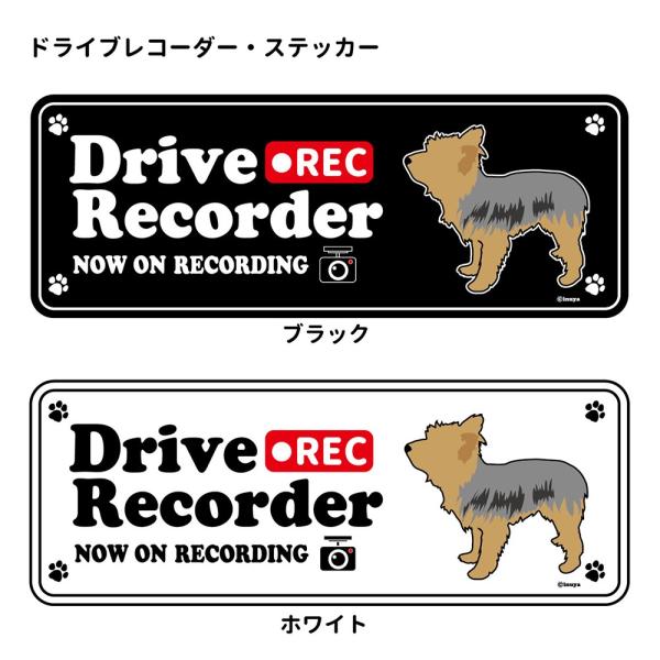 XebJ[ ip)  hR VGbg Zbg 12 j[NVeA ^   hCuR[_[ V[  ʂ