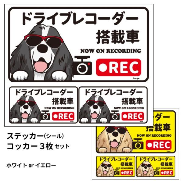 iRbJ[ ({) hR OT XebJ[ 12Zbg `jV[  hbO hCuR[_[   oCN X[cP[X   B