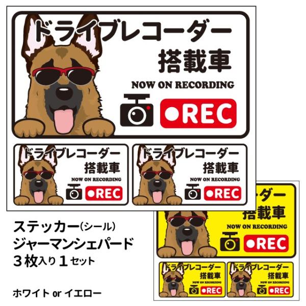 iW[}VFp[h ({) hR OT XebJ[ 12Zbg `jV[  hbO hCuR[_[   oCN X[cP[X 