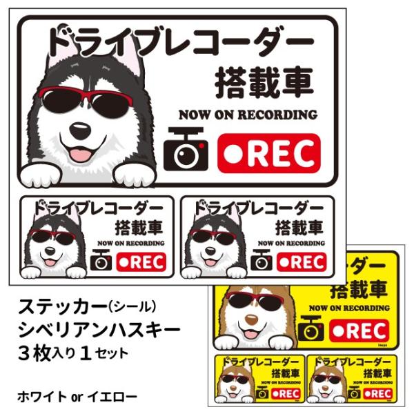 iVxAnXL[ ({) hR OT XebJ[ 12Zbg `jV[  hbO hCuR[_[   oCN X[cP[X 