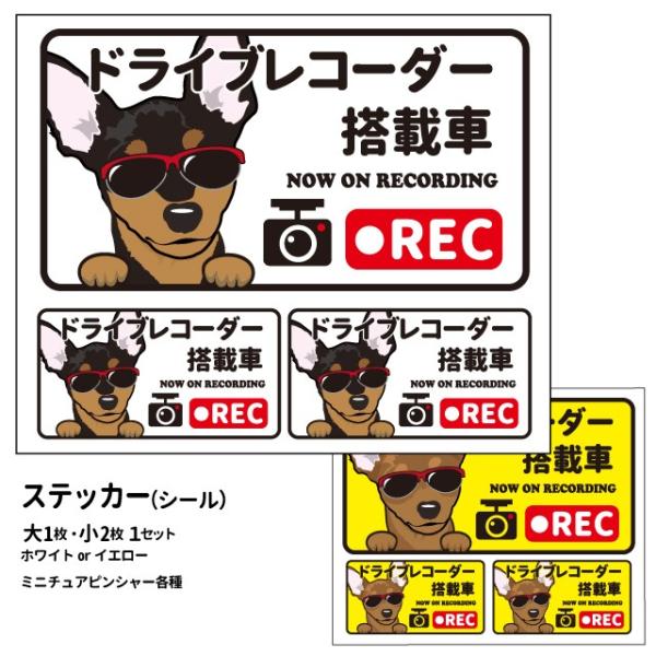 i~j`AsV[ ({) hR OT XebJ[ 12Zbg `j V[ ~js  hbO hCuR[_[   oCN X[