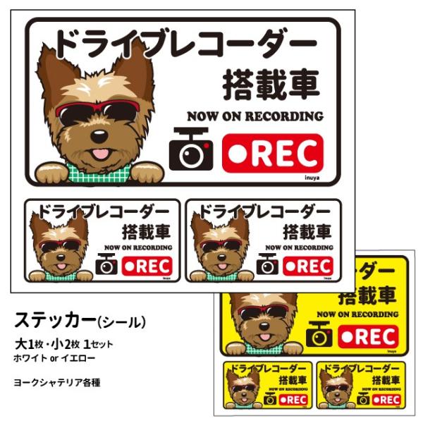 i[NVeA ({) hR OT XebJ[ 12Zbg `jV[  hbO hCuR[_[   oCN X[cP[X 