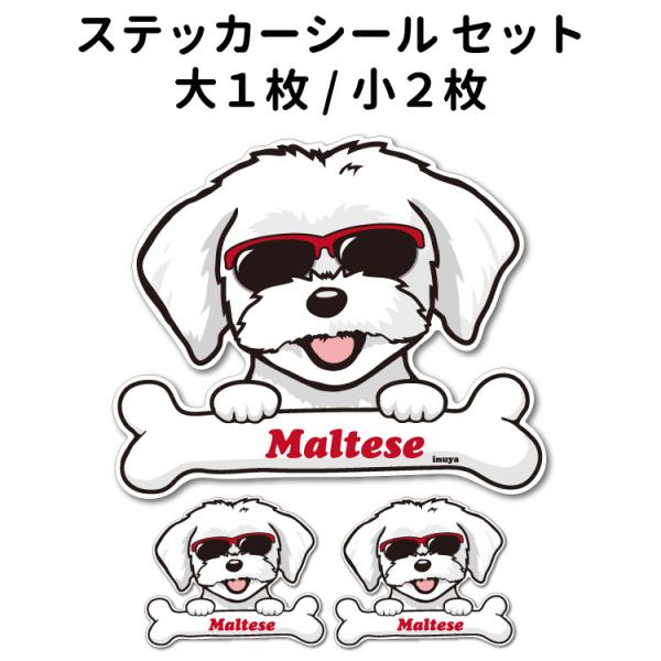 XebJ[ i {[`[ OT Zbg 12 j }`[Y TOX  ؂蔲 ^ ^  ʂ