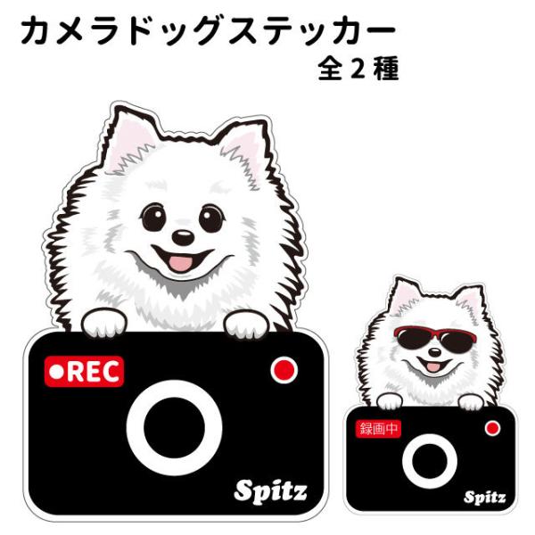 J hbO XebJ[ ؂蔲^Cv Xsbc   hCuR[_[ 킢 ԗp hR ^] h~  ^ ł   ʂ