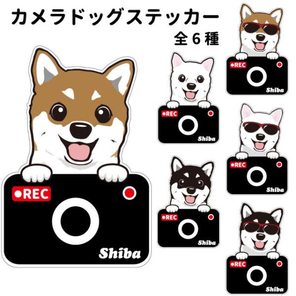 J hbO XebJ[ ؂蔲^Cv Č   hCuR[_[ 킢 ԗp hR ^] h~  ^ ł   ʂ ^