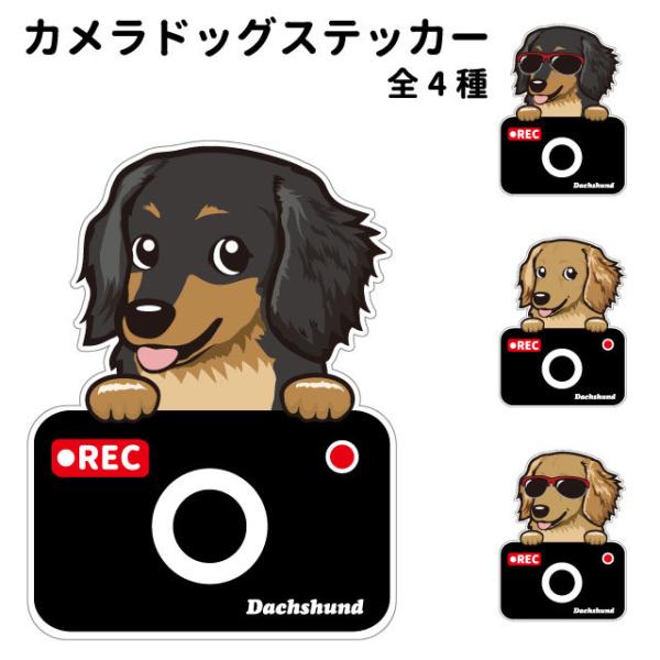 J hbO XebJ[ ؂蔲^Cv _bNX   hCuR[_[ 킢 ԗp hR ^] h~  ^ ł   ʂ