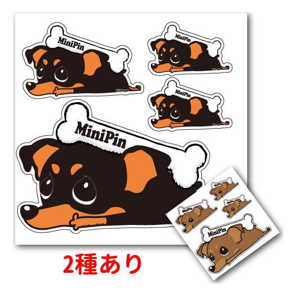 XebJ[ i uJ[v  j~j`AsV[ V[  ^   ʂ