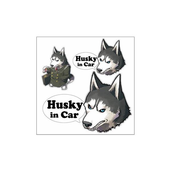 XebJ[ i ؂蔲  Wan's 3Zbg j VxAnXL[  X[c   V[   ^  ʂ