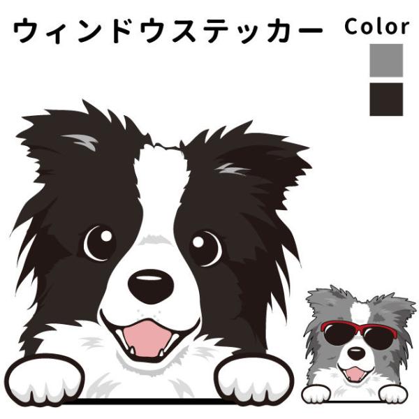 {[_[R[ iEBhE nbs[ fUC XebJ[  101j  ʂ   ԗp KX  ObY  