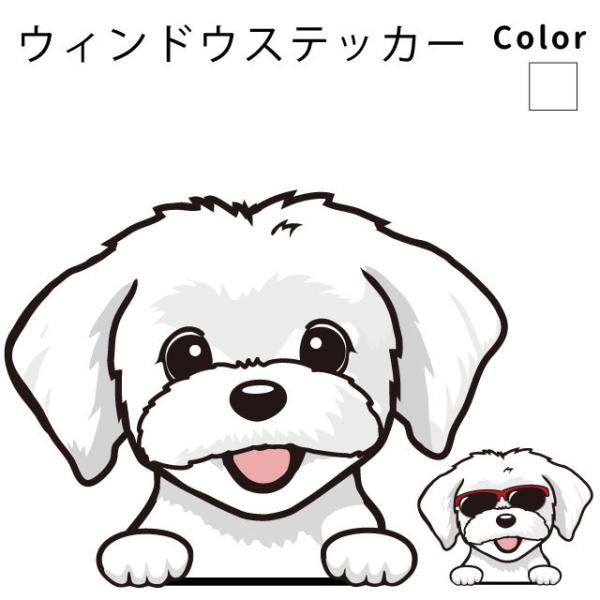 }`[Y iEBhE nbs[ fUC XebJ[  101j  ʂ   ԗp KX  ObY  