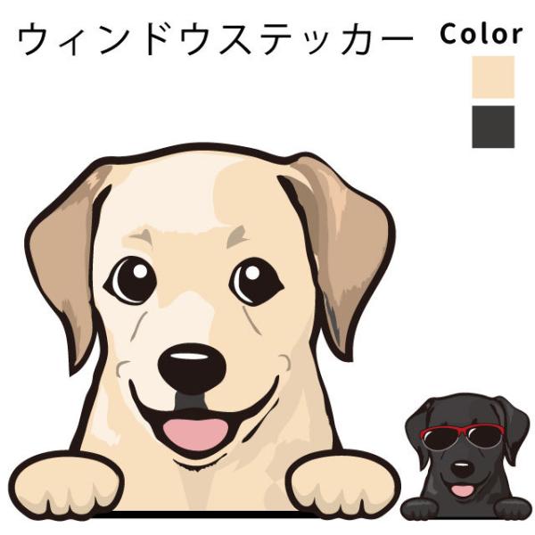 uh[ g[o[ iEBhE nbs[ fUC XebJ[  101j  ʂ   ԗp KX  ObY  