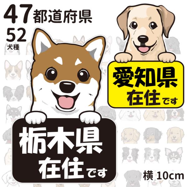 XebJ[ i ݏZ  ( Abv ) nbs[ OT j   ʂ   io[ SVs{ IWi n h 咣  ΍ Č R[M[