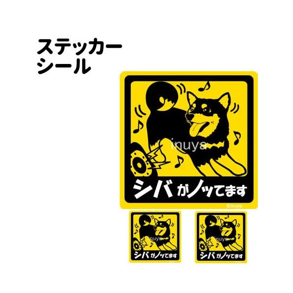 XebJ[ i mbĂ܂ ` Zbg 12 j Č ^   ʂ