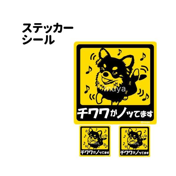 XebJ[ i mbĂ܂ ` Zbg 12 j ` ^   ʂ