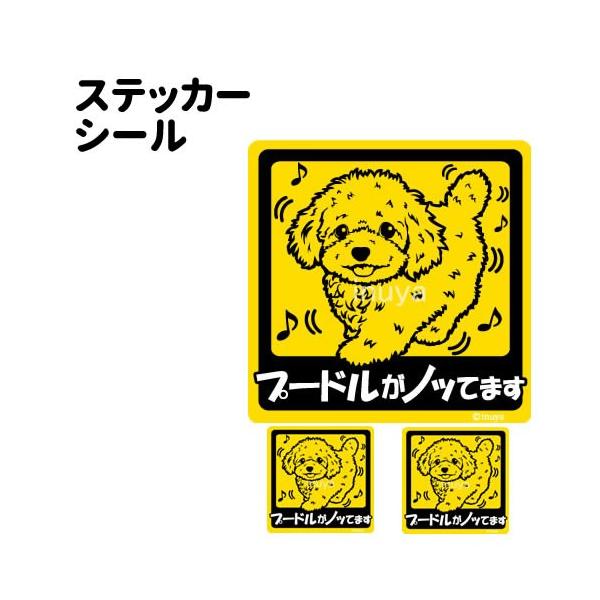 XebJ[ i mbĂ܂ ` Zbg 12 j gCv[h ^   ʂ