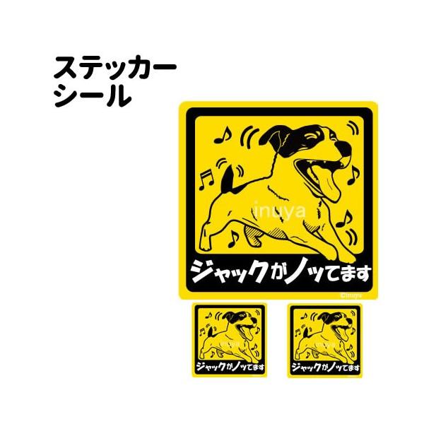 XebJ[ i mbĂ܂ ` Zbg 12 j WbNbZeA ^   ʂ