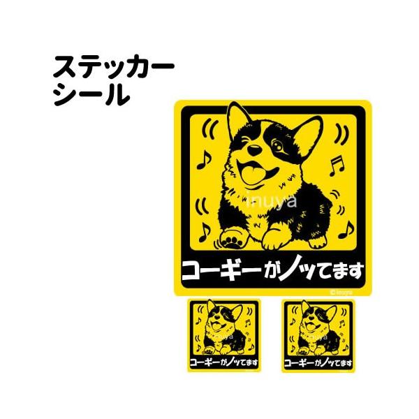 XebJ[ i mbĂ܂ ` Zbg 12 j R[M[ ^   ʂ