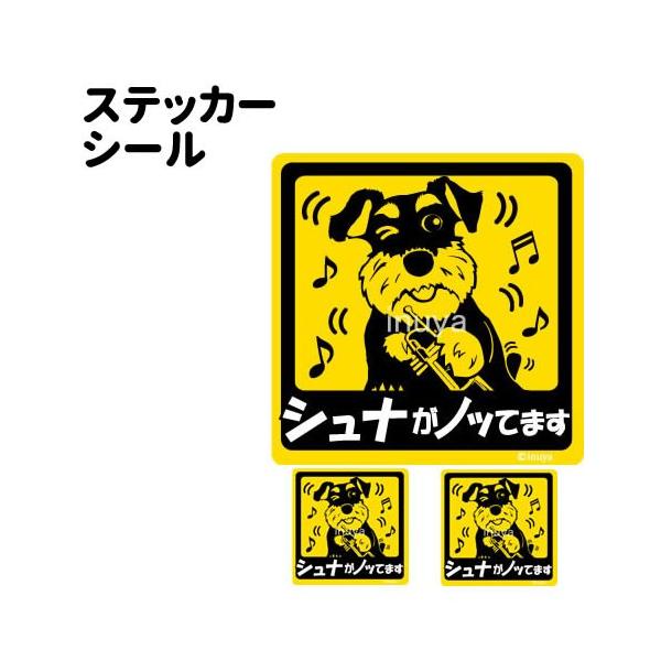 XebJ[ i mbĂ܂ ` Zbg 12 j ~j`AViEU[ ^   ʂ