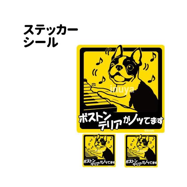 XebJ[ i mbĂ܂ ` Zbg 12 j {XgeA ^   ʂ