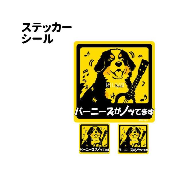 XebJ[ i mbĂ܂ ` Zbg 12 j o[j[Y ^   ʂ