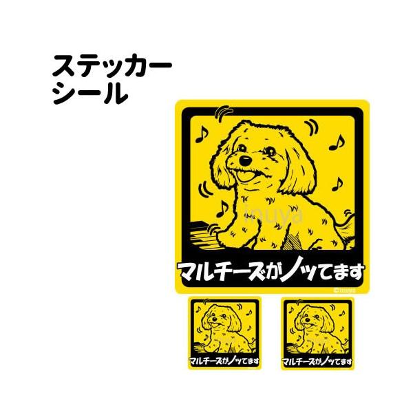 XebJ[ i mbĂ܂ ` Zbg 12 j }`[Y ^   ʂ