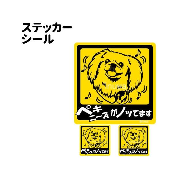 XebJ[ i mbĂ܂ ` Zbg 12 j yLj[Y ^   ʂ