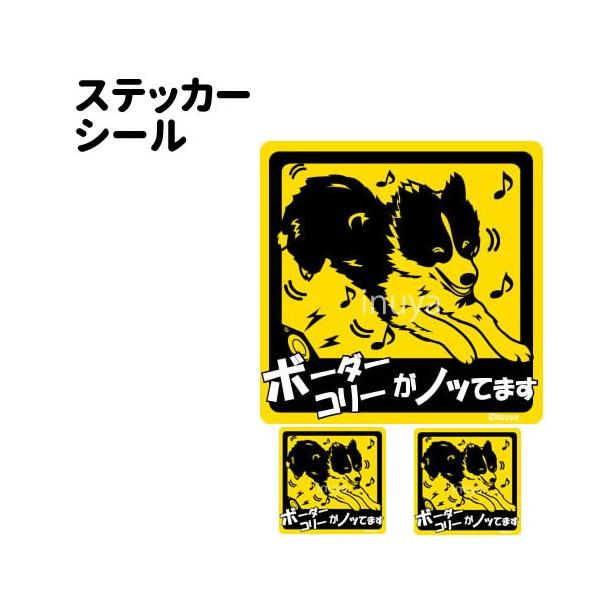 XebJ[ i mbĂ܂ ` Zbg 12 j {[_[R[ ^   ʂ