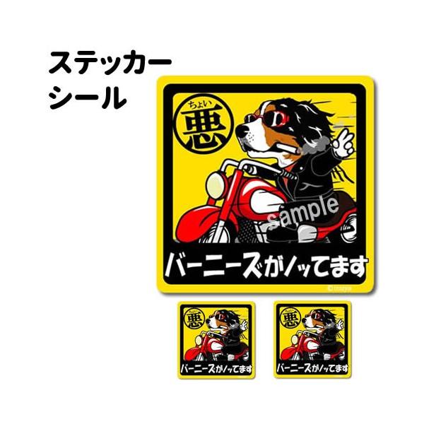 XebJ[ i 傢 ` Zbg 12 j o[j[Y  ^    ʂ