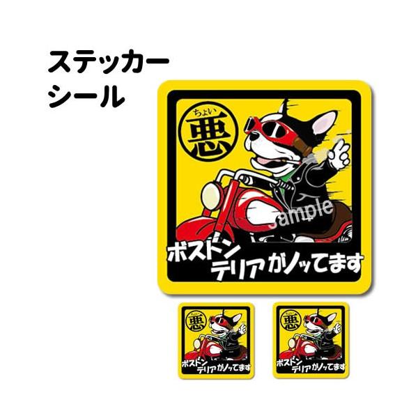 XebJ[ i 傢 ` Zbg 12 j {XgeA ^   ʂ