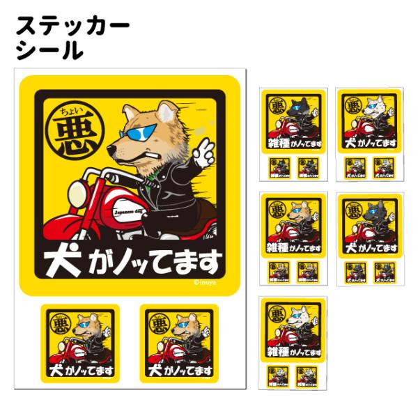 犬 ステッカー シール 犬 雑種 ミックス 犬 ちょい悪 正方形セット 犬屋 いぬや 送料無料 Buyee Servis Zakupok Tretim Licom Buyee Pokupajte V Yaponii