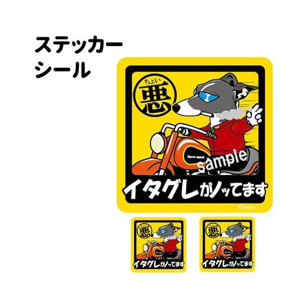 ステッカー （ ちょい悪 正方形 セット 大1枚小2枚 ）イタグレ  イタリアングレーハウンド  小型犬 車 犬屋 いぬや