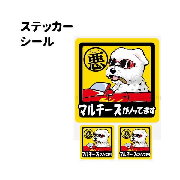 XebJ[ i 傢 ` Zbg 12 j }`[Y  ^   ʂ