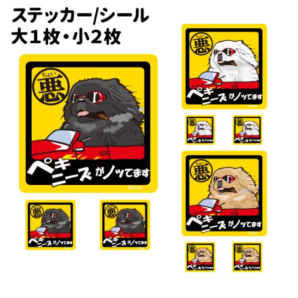 XebJ[ i 傢 ` Zbg 12 j yLj[Y  ^   ʂ